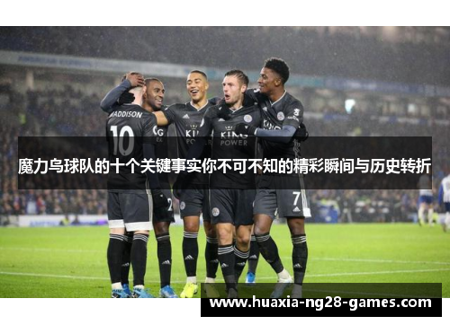 魔力鸟球队的十个关键事实你不可不知的精彩瞬间与历史转折 魔力鸟球队的十个关键事实你不可不知的精彩瞬间与历史转折